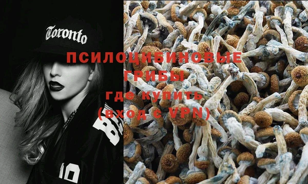 индика Алзамай