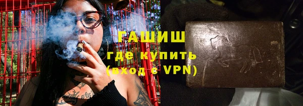 индика Алзамай